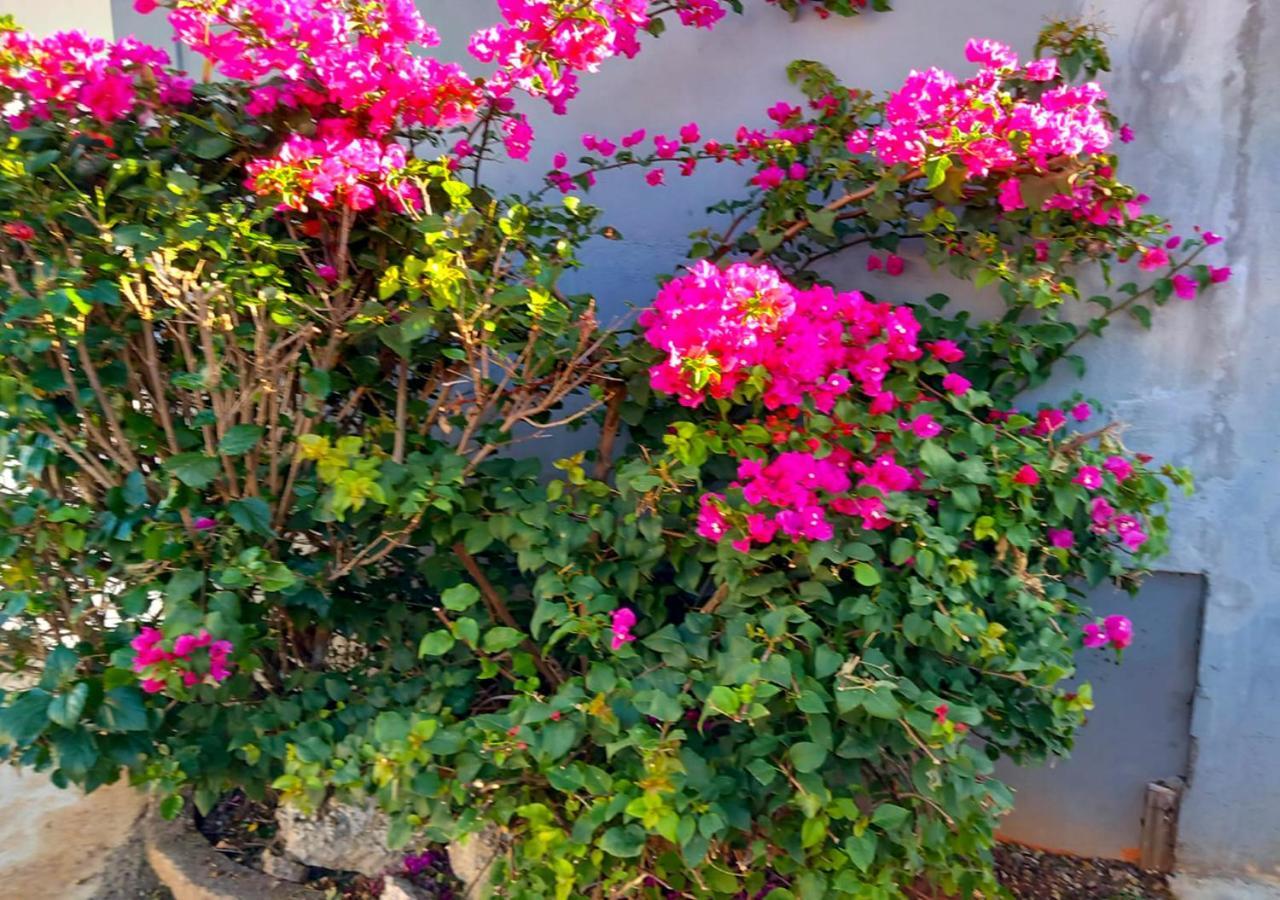 R Garden Villa Au Calme De Baie Du Tombeau, Appartement Familiale De 3 Chambres Et Cuisine Εξωτερικό φωτογραφία